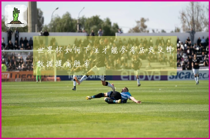 世界杯如何下注才能参考历史交锋数据提高胜率