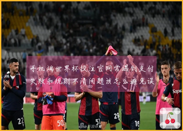手机端世界杯投注官网常遇到支付失败和规则不清问题该怎么避免误区