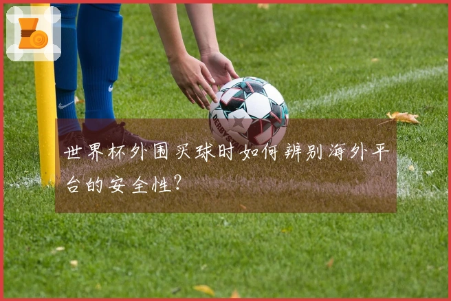 世界杯外围买球时如何辨别海外平台的安全性？