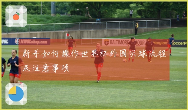 新手如何操作世界杯外围买球流程及注意事项