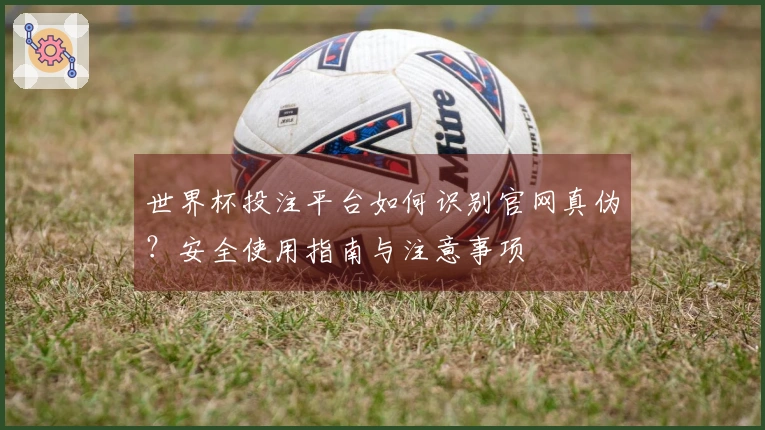 世界杯投注平台如何识别官网真伪？安全使用指南与注意事项