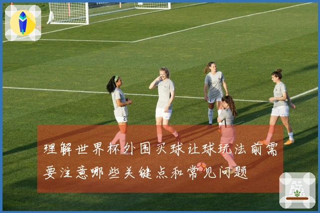 理解世界杯外围买球让球玩法前需要注意哪些关键点和常见问题