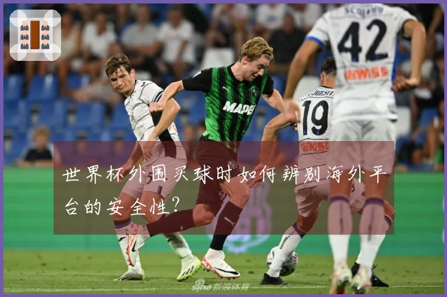 世界杯外围买球时如何辨别海外平台的安全性？